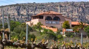 Bonet - Blog - Clos de l'Obac