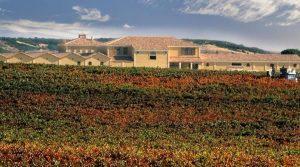Bonet - Blog - Bodega Rioja Alta