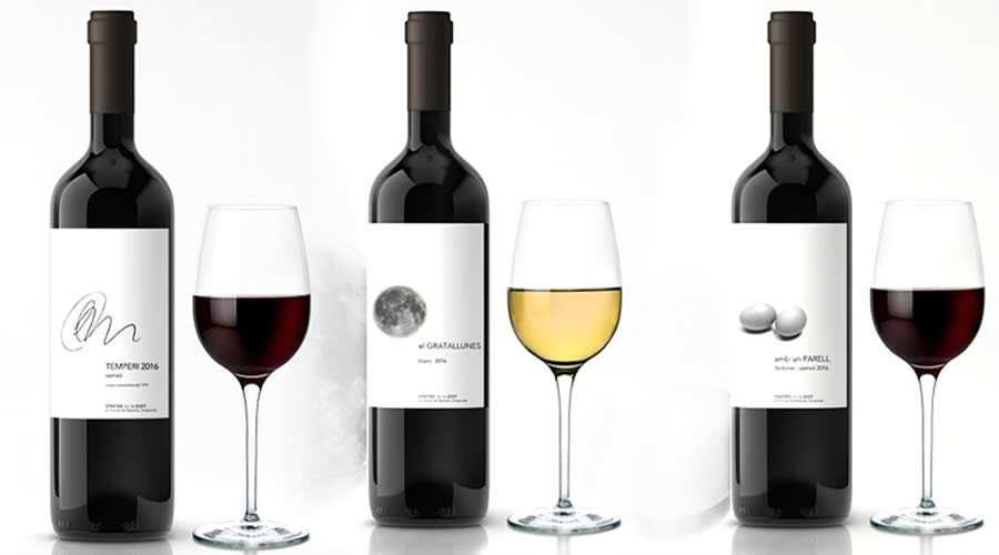 Bonet - Blog - Viñedos de la DOT