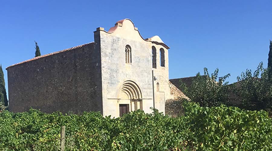 Bonet - Blog - Viñedos de la DOT