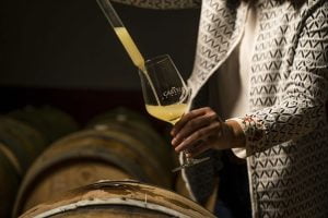 Destilerías Bonet - Blog - Bodegas Castelo de Medina