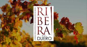 Bonet - Blog - 40 Aniversari DO Ribera Duero