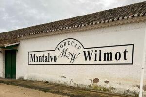 Bonet - Blog - Bodegas Montalvo Wilmot