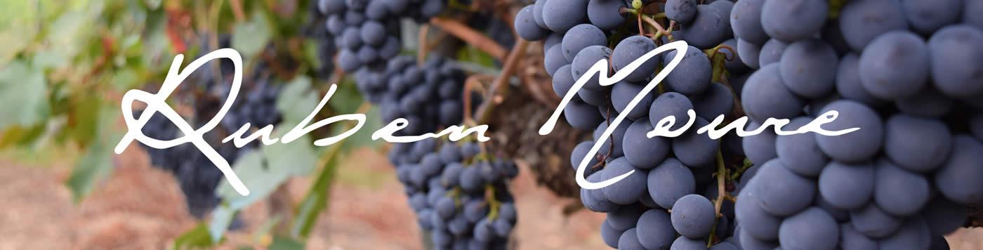 Destilerias Bonet - Blog - Bodega Finca Cuarta by Rubén Moure